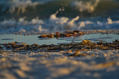 Close-up of rocks on beach against sky