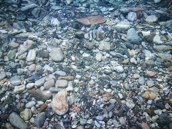 Full frame shot of pebbles on beach