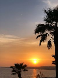 Silhouette palm tree by sea against romantic sky at sunset