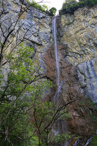 Low angle view of waterfall in forest