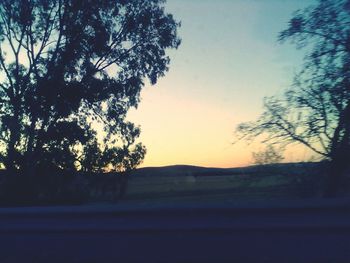 Bare trees against sky at sunset