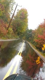 Road passing through forest