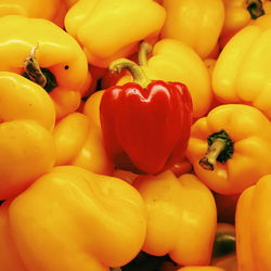 Full frame shot of yellow bell peppers for sale in market