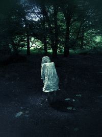 Full length of woman standing on tree trunk