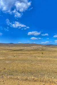 Scenic view of field against blue sky