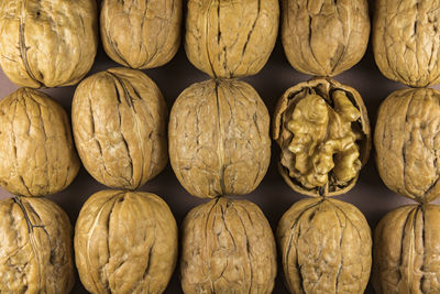 Close up walnuts within a hard shell