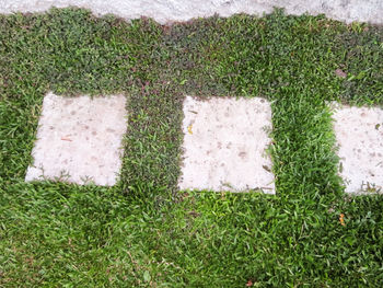 High angle view of green field