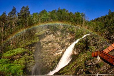 View of waterfall in forest