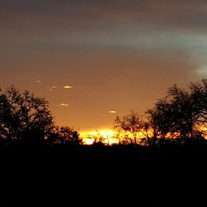 Silhouette trees against dramatic sky during sunset