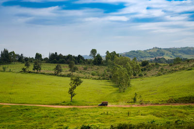 Scenic view of field against sky