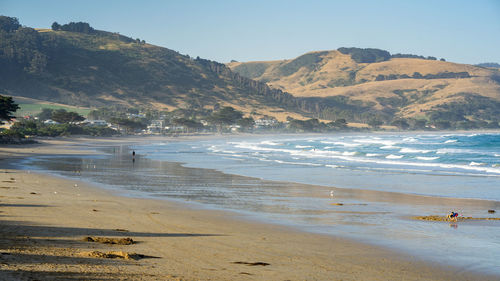 Scenic view of beach against clear sky