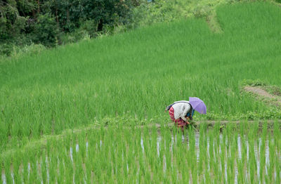 Woman working in the countryside