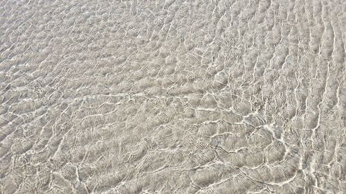 Full frame shot of sandy beach