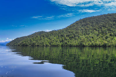 Scenic view of lake by trees against blue sky