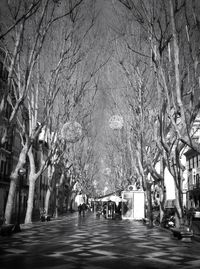 Road passing through trees