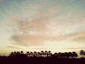 Silhouette trees against sky during sunset