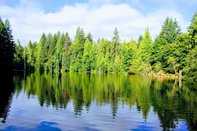 Scenic view of lake by trees against sky