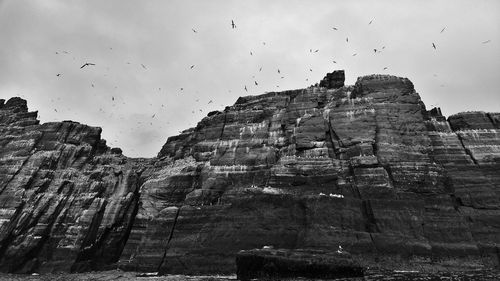 Low angle view of birds flying against sky