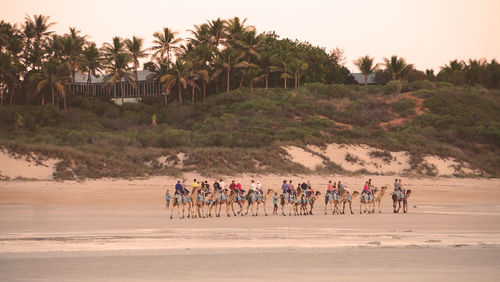 People riding bicycles on beach against sky