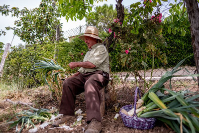 Rear view of man sitting by plants against trees