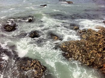 High angle view of beach