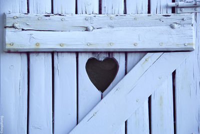 Close-up of plank