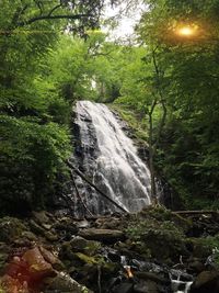 Waterfall in forest