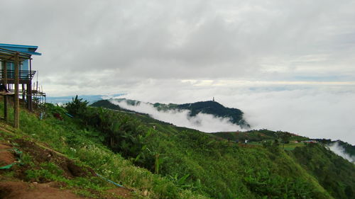 Scenic view of agricultural landscape against sky