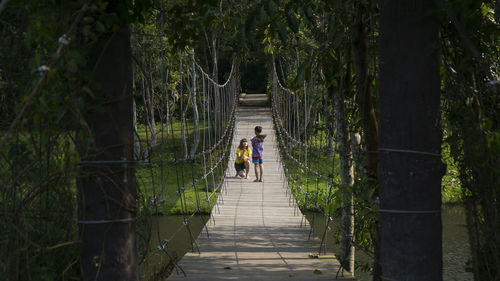 Rear view of people walking on footbridge amidst trees