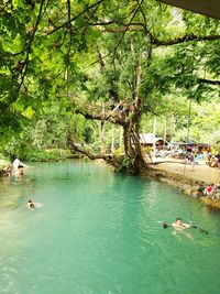 People in boat on river against trees