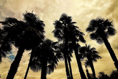 Silhouette palm trees against sky during sunset