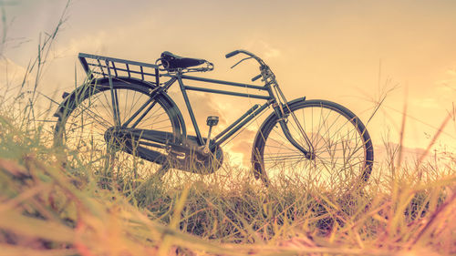 Bicycle amidst plants growing on land against sky during sunset