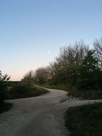 Road amidst trees against clear sky