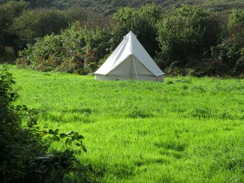 Built structure on grassy landscape against lush foliage