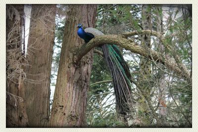 Bird perching on tree trunk