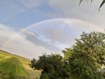 Scenic view of rainbow over trees on field against sky