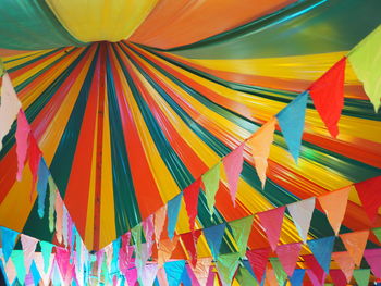 Low angle view of multi colored buntings