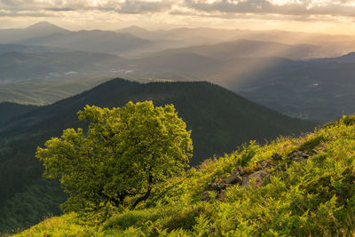 High angle view of plants and mountains against sky