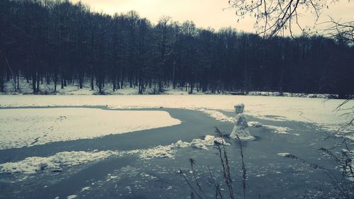 Scenic view of frozen forest against sky