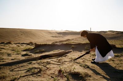 Side view of a horse on desert