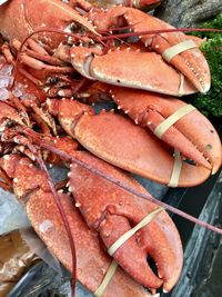 Lobster,  fish market