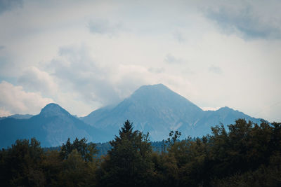 Rocky mountains and trees in forest against cloudy sky