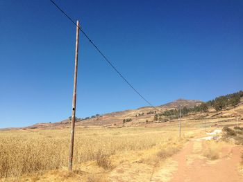 Scenic view of field against clear blue sky