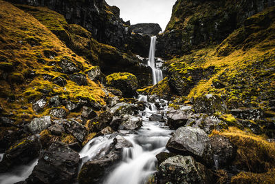 Stream flowing through rocks in forest