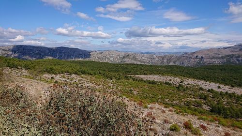 Scenic view of landscape against sky