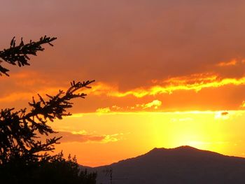 Silhouette plants against dramatic sky during sunset