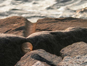 Close-up of rocks on land