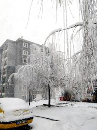 Snow covered street in city