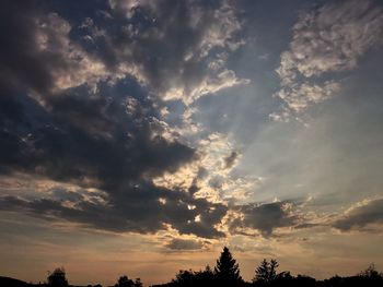 Low angle view of silhouette trees against sky