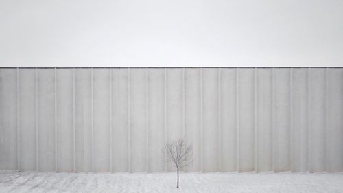 cold temperature